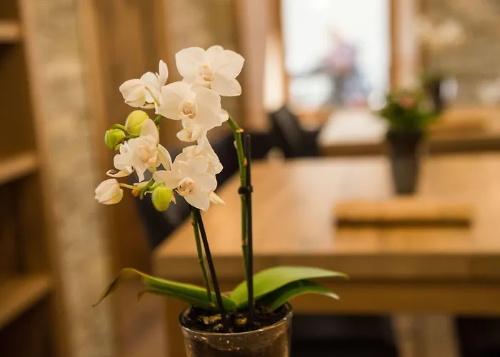 Heimatlodge Sankt Niklaus